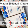 Viagra Sildénafil Citrate kamagra1